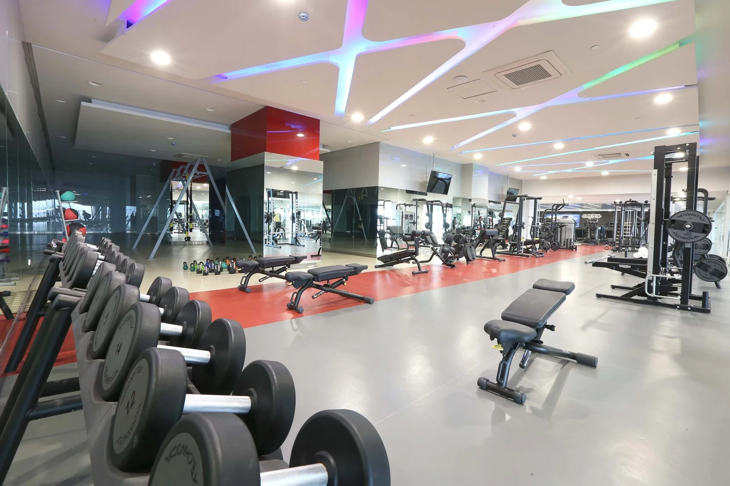 GYM
